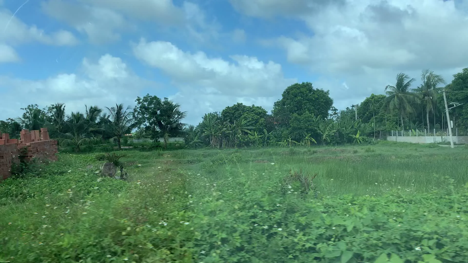 Đây là một khung cảnh ở vùng nông thôn. Có một cánh đồng cỏ xanh rộng lớn với nhiều hoa dại màu trắng. Nổi bật trong khung cảnh là những chồng gạch đỏ được xếp thành đống lớn, cho thấy có thể đang có hoạt động chuẩn bị cho việc xây dựng. Ở phía xa là những hàng cây xanh tươi, bao gồm cây dừa và cây chuối. Bầu trời trong xanh với nhiều mây trắng. Cảnh vật dường như được chụp từ một phương tiện đang di chuyển.
