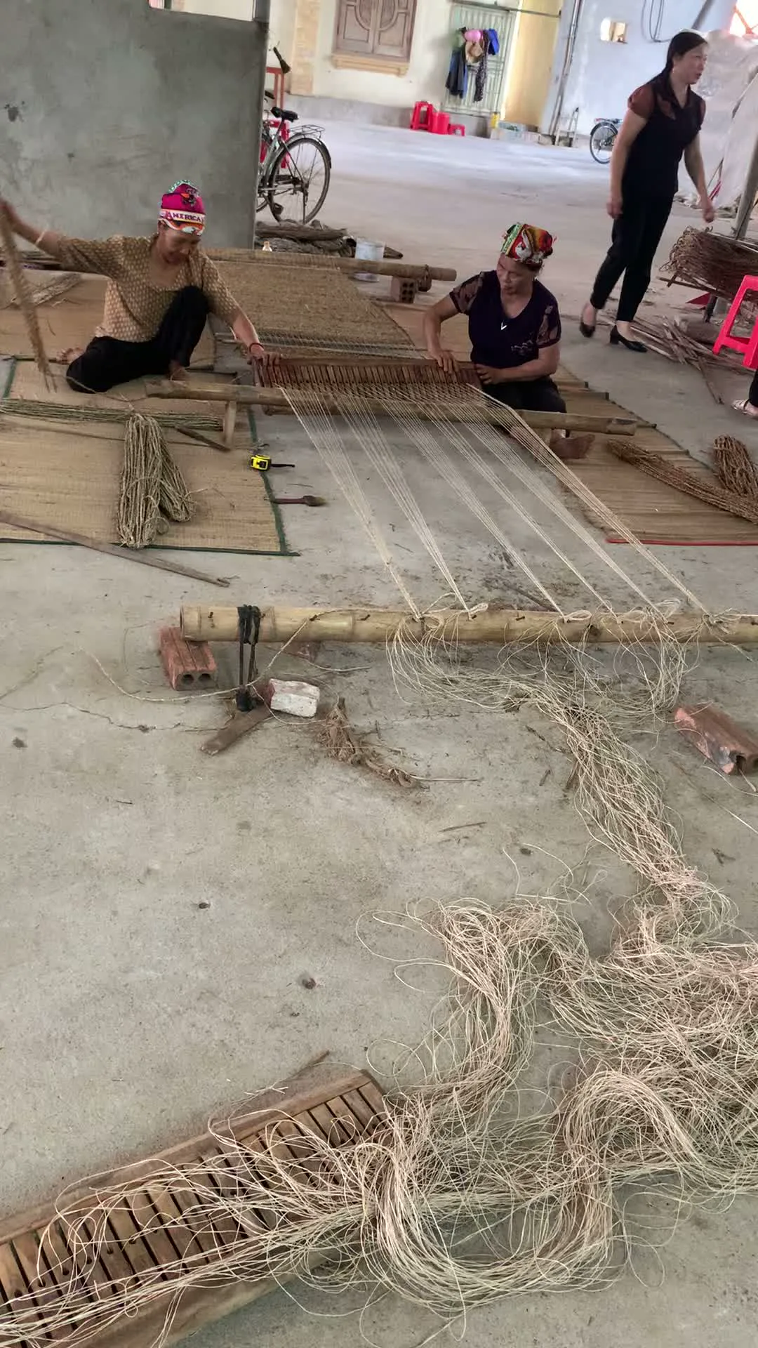 Hình ảnh ghi lại cảnh dệt chiếu cói thủ công tại một không gian giống như sân nhà hoặc xưởng sản xuất. Hai người phụ nữ đang ngồi trên sàn xi măng, cùng nhau làm việc trên một khung dệt chiếu thô sơ. Một người phụ nữ đang luồn các sợi cói vào giữa các sợi đay, trong khi người còn lại dùng một bộ phận của khung dệt để dập và ép chặt các sợi cói lại với nhau. Xung quanh họ có các bó sợi cói và những chiếc chiếu đang dệt dở. Ở phía sau, một người phụ nữ khác đang đứng và có hai chiếc xe đạp dựng gần đó. Đây là một hoạt động sản xuất thủ công truyền thống, cụ thể là nghề dệt chiếu.