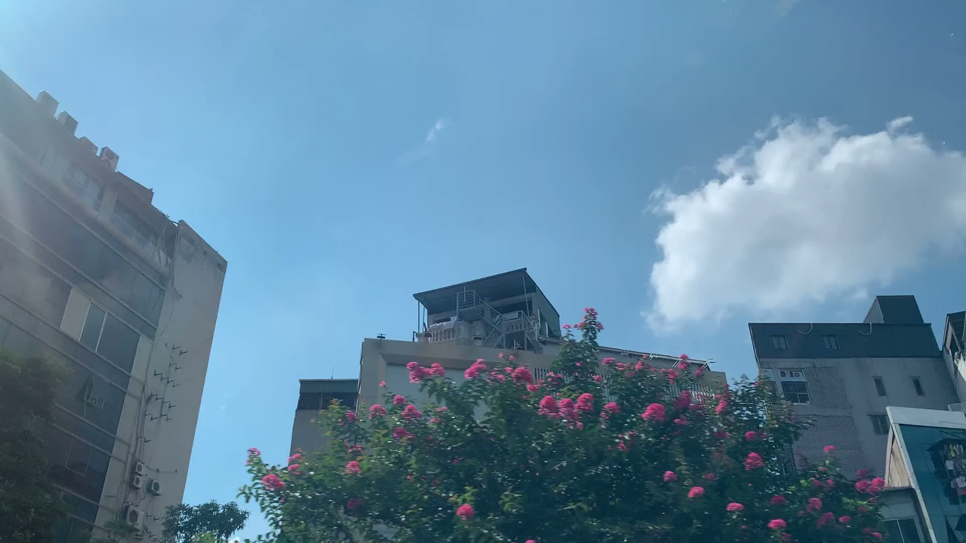 Chữ viết được ghi lại: Trên nóc một tòa nhà có biển hiệu màu đỏ với nội dung: "DU HỌC MỸ", "BOATMAN", "ĐT: 0986.74.1988", "CÔNG TY LUẬT SAO THỦ ĐÔ". Một biển hiệu khác trên tòa nhà bên phải có chữ "APARTMENT", các chữ còn lại không đọc được.。Mô tả cảnh vật và hoạt động: Khung cảnh là một góc phố đô thị vào một ngày nắng. Bầu trời trong xanh, có nắng và một vài đám mây trắng. Hình ảnh cho thấy nhiều tòa nhà cao tầng với các kiểu kiến trúc khác nhau nằm san sát nhau, bao gồm một tòa nhà văn phòng hiện đại với mặt tiền bằng kính màu xanh và các tòa nhà ở cũ hơn. Ở phía trước, một cây lớn đang nở hoa màu hồng rực rỡ, có thể là cây tường vi. Cảnh vật dường như được ghi lại từ một phương tiện đang di chuyển, nhìn lên các tòa nhà. Không có hoạt động cụ thể của con người được thể hiện, chủ yếu là quang cảnh kiến trúc đô thị.