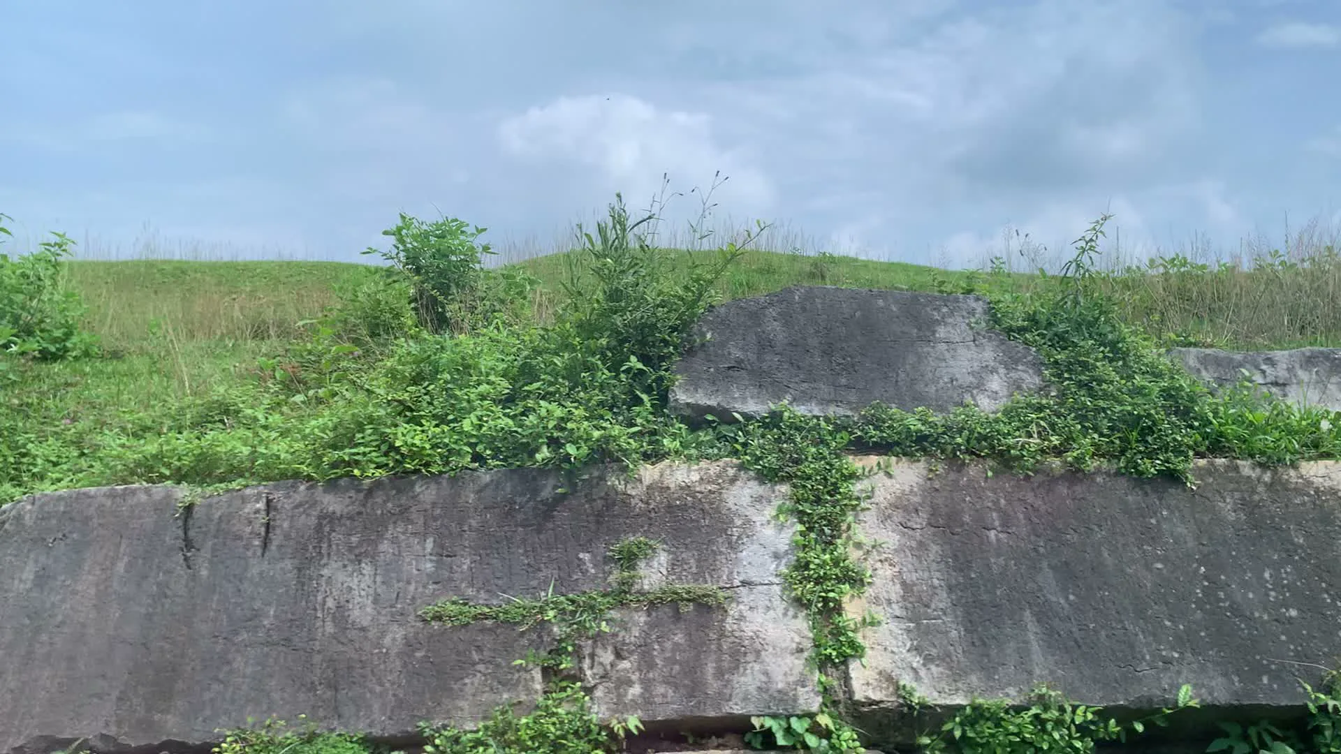 Hình ảnh ghi lại một phần của một di tích lịch sử, có vẻ là một bức tường thành cổ. Bức tường được xây dựng từ những khối đá lớn, đã nhuốm màu thời gian. Cây cối, cỏ dại và dây leo mọc um tùm trên các phiến đá và trên đỉnh tường thành. Phía trên bức tường là một triền đồi hoặc lũy đất được bao phủ bởi thảm thực vật xanh tươi, bao gồm cỏ và cây bụi. Khung cảnh cho thấy một công trình cổ kính hòa quyện với thiên nhiên, không có sự xuất hiện của con người hay hoạt động nào đang diễn ra.