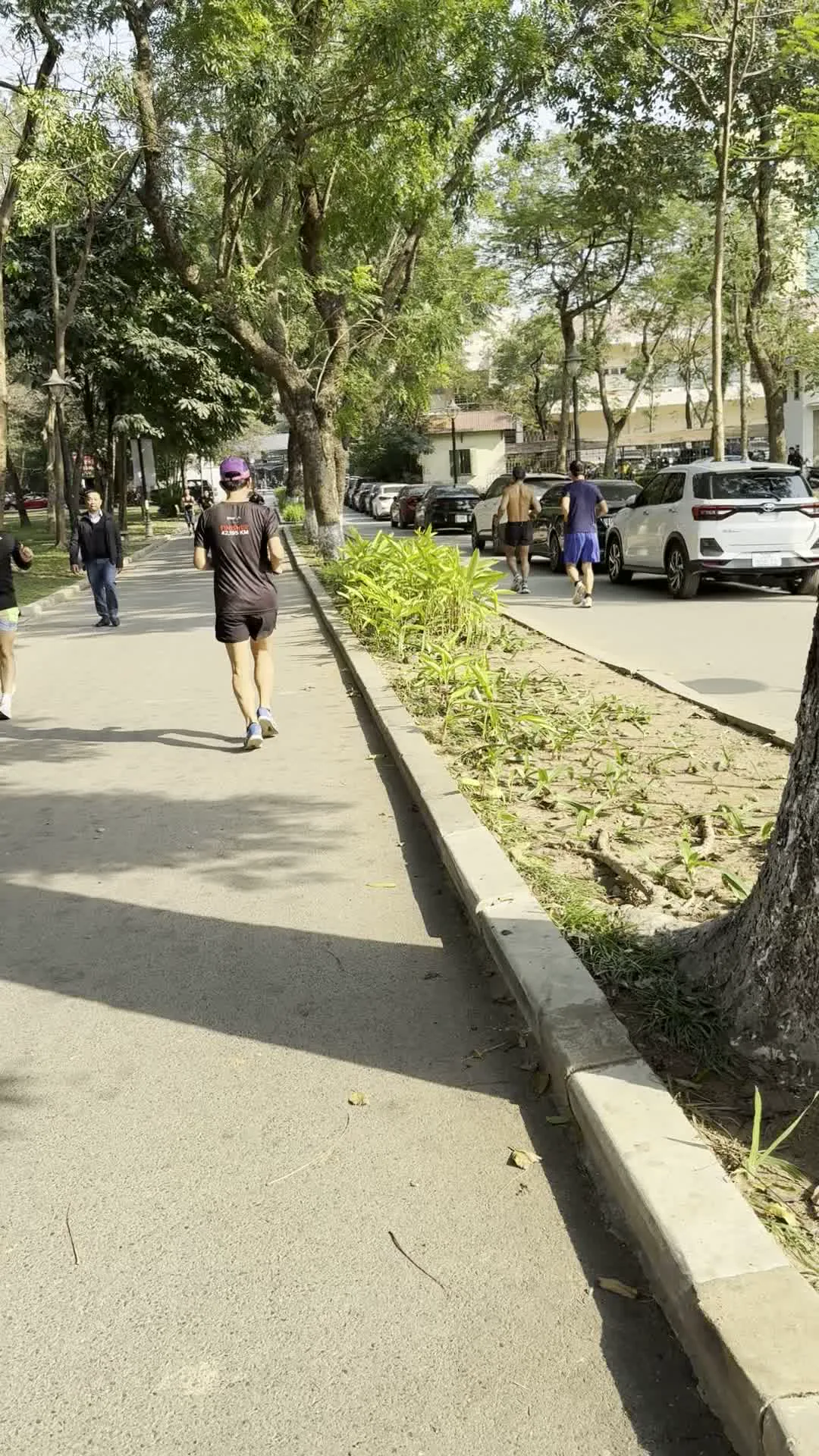 Công viên Thống Nhất (トンニャット公園)