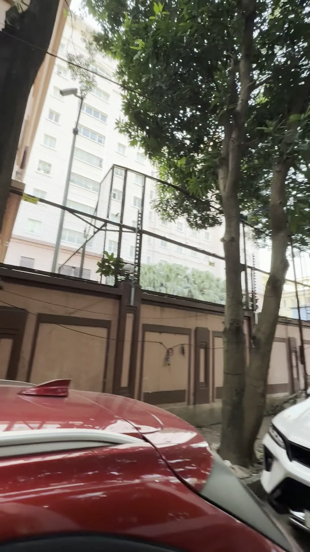 （特定可能なランドマークや文字情報はありません）