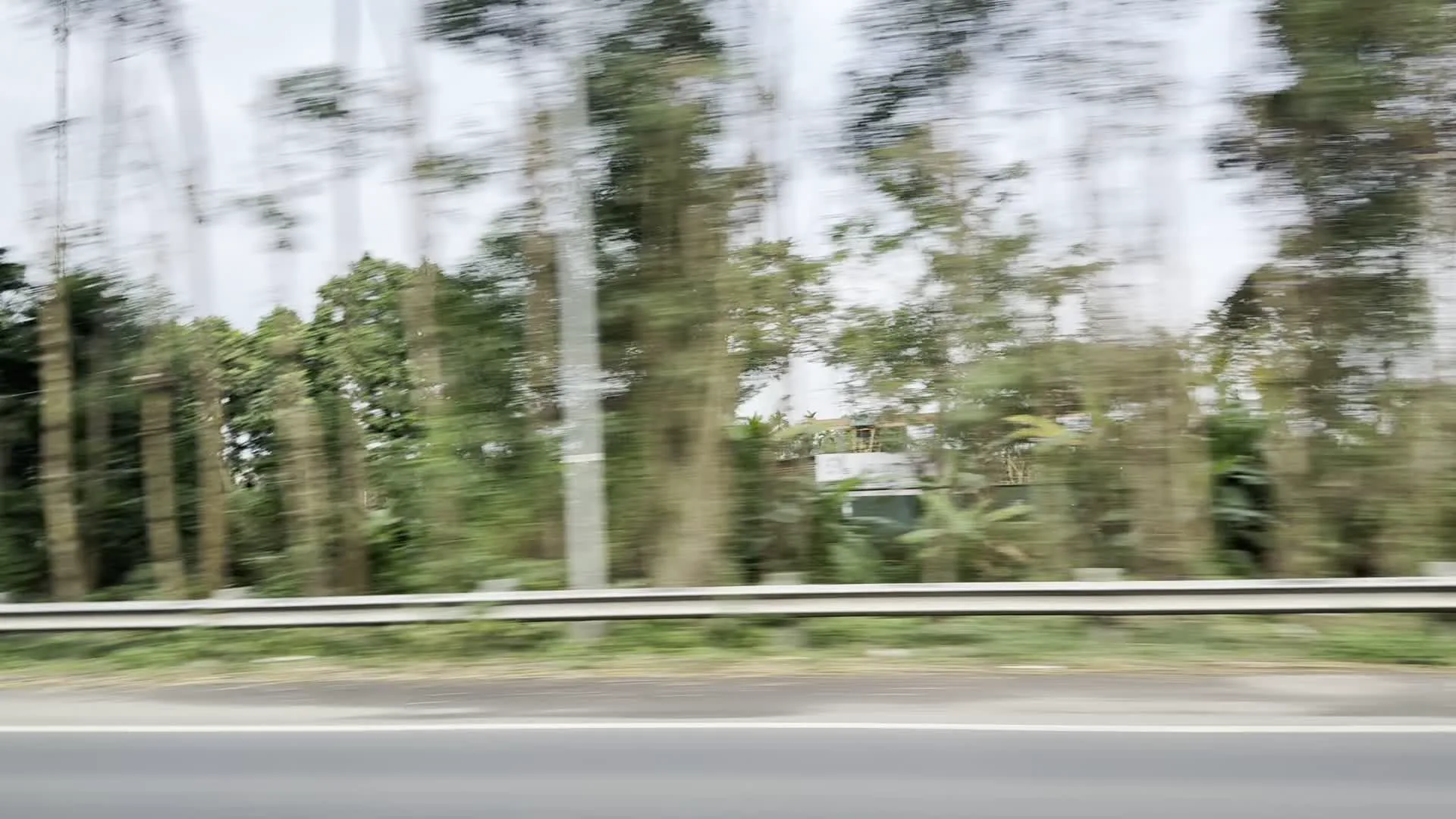 Hình ảnh được chụp từ một phương tiện đang di chuyển với tốc độ nhanh, khiến cho cảnh vật, đặc biệt là cây cối, bị mờ nhòe. Cảnh vật bao gồm một con đường có dải hộ lan kim loại ở bên lề. Phía sau dải hộ lan là một khu vực rậm rạp cây xanh, với nhiều cây thân gỗ cao. Bầu trời có mây và màu xám trắng. Thấp thoáng phía sau rặng cây có thể nhận ra một phần mái của một ngôi nhà hoặc công trình xây dựng. Không có chữ viết hay biển báo nào rõ ràng.