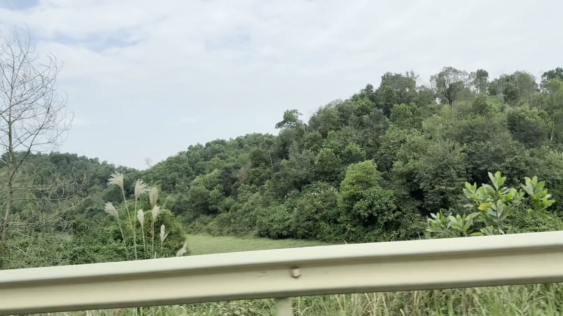 Đây là hình ảnh về một cảnh quan đồi núi, được chụp từ một phương tiện đang di chuyển. Ở phía trước là một lan can bảo vệ đường bộ. Phía sau lan can là những ngọn đồi được bao phủ hoàn toàn bởi cây cối và thảm thực vật xanh tươi, rậm rạp. Bầu trời có nhiều mây. Có một vài cụm cỏ lau mọc ở ven đường. Không có người, tòa nhà hay hoạt động cụ thể nào được ghi lại, chỉ có khung cảnh thiên nhiên của vùng nông thôn miền núi.