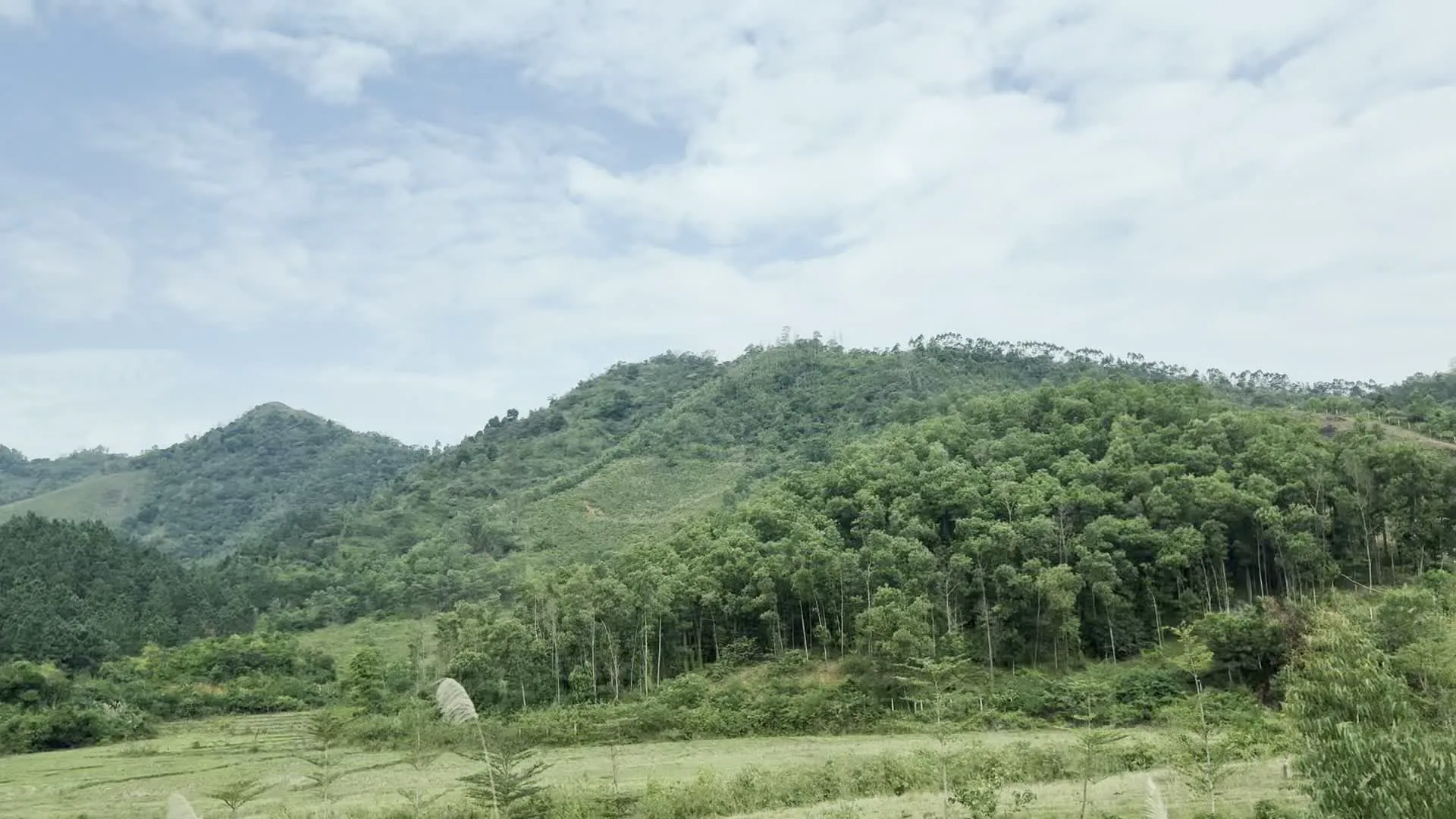 Đây là khung cảnh một vùng nông thôn miền núi. Các hình ảnh cho thấy những dãy núi và đồi được bao phủ bởi cây cối và rừng rậm xanh tươi. Ở phía trước, có thể thấy các loại thực vật đa dạng như cây chuối và cây cọ mọc um tùm ven đường hoặc trên các thửa đất nông nghiệp. Bầu trời có mây. Không có người hay hoạt động cụ thể nào được ghi lại, và cũng không có bất kỳ văn bản, biển báo hay chữ viết nào.