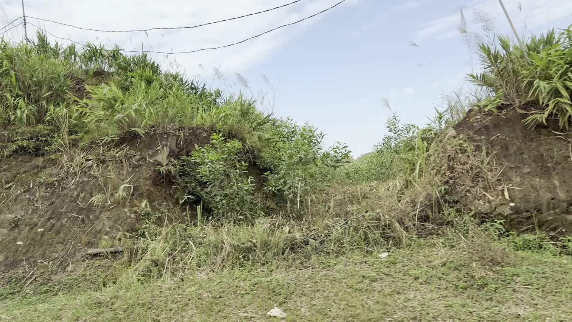 Khung cảnh ven đường ở một vùng nông thôn hoặc đồi núi, có khả năng được chụp từ một phương tiện đang di chuyển. Hai bên đường là các vách đất được bao phủ bởi cỏ dại và các bụi cây xanh tươi. Phía trên có đường dây điện vắt ngang qua bầu trời. Một số hình ảnh bị mờ do chuyển động. Không có người, động vật hay hoạt động cụ thể nào được quan sát trong ảnh.