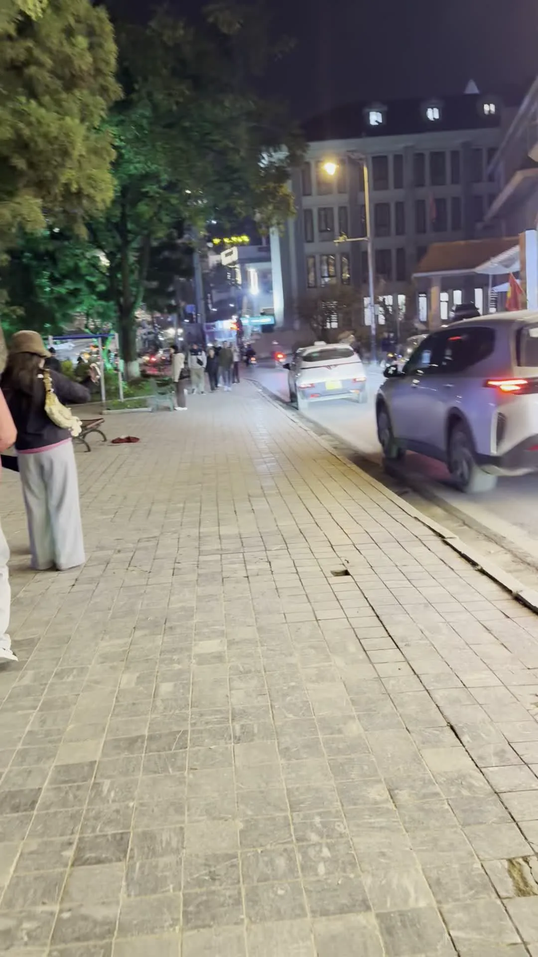 Quảng trường Sapa（サパ広場）。Phố Fansipan（ファンシーパン通り）。Lẩu Cá Hồi / Cá Tầm（サパ名物のサーモン鍋・チョウザメを扱うレストランの看板）。Handicraft - Trekking（手工芸品・トレッキング用品店の看板）