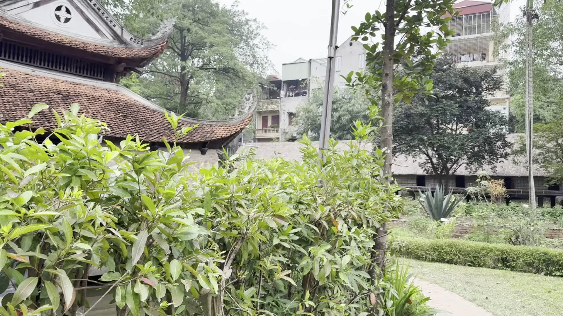 Bối cảnh là một khu trưng bày ngoài trời tại một bảo tàng hoặc khu di tích, có khả năng là Bảo tàng Dân tộc học Việt Nam. Không gian bao gồm các công trình kiến trúc truyền thống Việt Nam với mái ngói cong và cả những ngôi nhà mái lá, được bao quanh bởi cây cối xanh tươi, vườn cây và những con đường lát gạch. Ở phía xa, có thể nhìn thấy các tòa nhà hiện đại, tạo nên sự tương phản với không gian cổ kính.。Nhiều người, bao gồm cả du khách trong và ngoài nước, đang đi dạo và tham quan. Tại một khoảng sân rộng, một nhóm người đang tổ chức buổi chụp ảnh. Một số người mặc trang phục áo dài cách tân màu trắng và đang tạo dáng. Một nhiếp ảnh gia đang sử dụng tấm hắt sáng để hỗ trợ buổi chụp. Ở phía trước, có một tấm biển màu nâu hiển thị sơ đồ hoặc bản đồ của khu vực. Trong một khu vực khác có vườn và lối đi, một chiếc võng được treo gần một ngôi nhà mái lá.