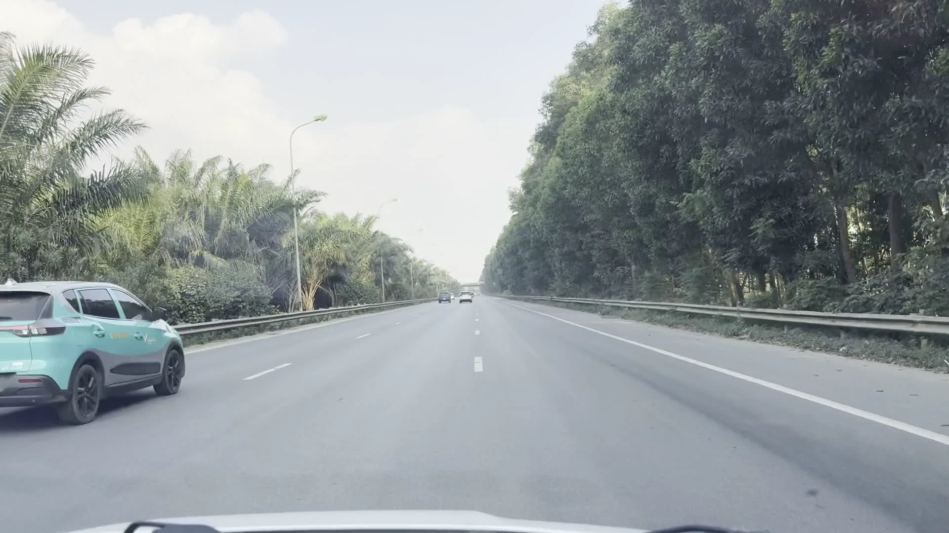 Đây là khung cảnh trên một con đường cao tốc có nhiều làn xe. Nhiều loại phương tiện như ô tô con và xe tải đang lưu thông trên đường. Hai bên đường được bao bọc bởi cây xanh; bên phải là hàng cây thân gỗ cao và rậm rạp, trong khi bên trái là những hàng cây cọ. Con đường được trang bị lan can bảo vệ bằng kim loại và hệ thống đèn đường. Trong một số bức ảnh, có thể thấy một biển báo giao thông màu xanh lá cây ở phía xa nhưng chữ viết trên đó không thể đọc được. Toàn bộ hình ảnh được chụp từ góc nhìn của một người đang ngồi trong xe ô tô đang di chuyển.