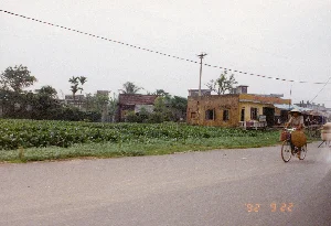 Bức ảnh bị mờ do chuyển động, chụp cảnh một người đang đi xe đạp dọc theo đường ray xe lửa vào lúc hoàng hôn. Dấu thời gian màu vàng ở góc dưới bên phải ghi "22 19:32". Khung cảnh là một vùng nông thôn ở Việt Nam. Ở phía trước, có đường ray xe lửa với lớp đá dăm. Người đi xe đạp đang di chuyển song song với đường ray. Ở hậu cảnh, có nhiều cây cối, bao gồm cây chuối và cây dừa. Phía xa có một tòa nhà một tầng mái ngói và các cột điện. Bức ảnh có vẻ được chụp từ một phương tiện đang di chuyển, có thể là một đoàn tàu.。（日本語訳）。モーションブラーがかかった写真で、夕暮れ時に線路に沿って自転車に乗っている人を捉えている。右下の黄色いタイムスタンプには「22 19:32」と表示されている。舞台はベトナムの田舎である。前景には、砂利のバラストが敷かれた線路がある。自転車に乗っている人は線路と平行に移動している。背景には、バナナの木やココナッツの木など、多くの木々がある。この写真は、動いている乗り物、おそらくは電車から撮影されたようだ。