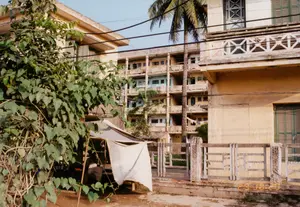 Bức ảnh chụp một góc của một khu dân cư, có thể là một sân chung hoặc con hẻm giữa các khu nhà tập thể cũ ở Hà Nội. Phía sau là một tòa nhà tập thể nhiều tầng đã cũ, tường sơn vàng, có nhiều ban công. Trên một số ban công có phơi quần áo. Xen giữa các tòa nhà là một cây cọ cao. Dây điện giăng mắc chằng chịt trên không. Ở phía trước bên phải là một hàng rào bê tông với các họa tiết trang trí đã cũ. Ở phía trước bên trái, có một lán trại tạm bợ được dựng bằng khung gỗ và phủ một tấm bạt trắng, bên dưới có bóng người đang ngồi. Cây cối và dây leo mọc um tùm ở phía trước. Không có chữ viết nào có thể đọc được rõ ràng trong ảnh.。（日本語訳）。写真は、ハノイの古い集合住宅の間にある中庭か路地と思われる、ある住宅地の一角を写したものです。後ろには、黄色く塗られた壁と多くのバルコニーがある、古い多層の集合住宅があります。いくつかのバルコニーには洗濯物が干されています。建物の間には、背の高いヤシの木が1本あります。電線が空中に複雑に張り巡らされています。右手前には、古い装飾模様が施されたコンクリートの柵があります。左手前には、木製の骨組みで建てられ、白い防水シートで覆われた仮設の小屋があり、その下には座っている人の影が見えます。手前には木々や蔓が鬱蒼と茂っています。写真の中には、はっきりと読み取れる文字はありません。