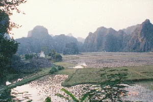 Trên ảnh có dấu ngày tháng màu cam "5 .2'94". Bức ảnh chụp cảnh quan tại khu vực Tam Cốc, Ninh Bình. Một con sông có dòng nước màu nâu đục chảy dưới chân một vách núi đá vôi lớn. Trên vách núi có cây cối mọc xen kẽ. Dưới chân núi là lối vào của một hang động. Một chiếc thuyền đò nhỏ, trên đó có hai người, đang di chuyển trên mặt sông và hướng về phía cửa hang. Đây là hoạt động tham quan hang động bằng thuyền, một hình thức du lịch phổ biến ở Tam Cốc.。（日本語訳）。写真にはオレンジ色の「94年2月5日」という日付スタンプがあります。この写真はニンビン省タムコック地域の風景を撮影したものです。大きな石灰岩の崖の麓を、濁った茶色の水が流れる川が流れています。崖の上には木々が点在して生えています。山の麓には洞窟の入り口があります。2人が乗った小さな手漕ぎボートが、川面を移動し、洞窟の入り口に向かっています。これはボートによる洞窟観光で、タムコックで人気のある観光形式です。