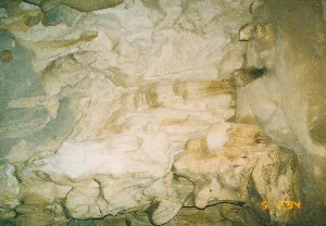 Bức ảnh chụp cận cảnh vách đá bên trong một hang động, có thể là ở khu vực Tam Cốc, Ninh Bình. Bề mặt đá có nhiều hình thù và màu sắc đa dạng, từ trắng, xám đến vàng nâu, được hình thành do quá trình xói mòn của nước. Các lớp đá xếp chồng lên nhau tạo thành những đường vân và khối lồi lõm phức tạp. Không có hoạt động nào của con người được ghi lại, chỉ có cảnh quan địa chất tự nhiên. Ở góc dưới bên phải của bức ảnh có dấu ngày tháng kỹ thuật số màu vàng '5 2 '94', cho biết ảnh được chụp vào ngày 5 tháng 2 năm 1994.。（日本語訳）。洞窟内部の岩壁をクローズアップで撮影した写真で、おそらくニンビン省タムコック地域のものでしょう。岩の表面は、白、灰色から黄褐色まで多様な形と色をしており、水の浸食過程によって形成されました。岩の層が積み重なり、複雑な縞模様や凹凸のある塊を形成しています。人間の活動は記録されておらず、自然の地質景観のみです。写真の右下隅には「'5 2 '94'」という黄色いデジタルの日付スタンプがあり、写真が1994年2月5日に撮影されたことを示しています。