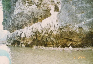 Trên ảnh có dấu ngày tháng màu cam: '5 2 '94'. Bức ảnh ghi lại cảnh lao động trên một cánh đồng lúa nước rộng lớn ở vùng nông thôn, có thể là khu vực Ninh Bình. Khung cảnh có vẻ chìm trong sương mù hoặc thời tiết nhiều mây. Rất nhiều nông dân đang cần mẫn làm việc trên đồng. Hoạt động chính của họ là cấy lúa: họ đang nhổ những cây mạ non từ các luống mạ xanh dày đặc và cấy chúng thành hàng trên những thửa ruộng đã ngập nước. Một vài người nông dân đội nón lá. Cánh đồng được chia thành các ô ruộng, một số là luống mạ xanh tươi, số khác là ruộng nước. Ở phía xa có thể thấy một cột điện và bóng cây cối mờ nhạt.。（日本語訳）。写真にはオレンジ色の「'94 2 5」という日付スタンプがあります。この写真は、おそらくニンビン地方の田舎にある広大な水田での労働風景を記録したものです。風景は霧に包まれているか、曇り空のようです。多くの農民が田んぼで熱心に働いています。彼らの主な活動は田植えです。彼らは緑の苗代から若い苗を抜き、水で満たされた田んぼに列を作って植えています。何人かの農民はノンラーをかぶっています。田んぼは区画に分かれており、いくつかは青々とした苗代で、他は水田です。遠くには電柱とぼんやりとした木々の影が見えます。