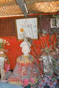 Bức ảnh ghi lại một khung cảnh vô cùng đông đúc và chen lấn tại một lễ hội ở chùa, có khả năng là lễ hội Chùa Kho ở tỉnh Hà Bắc cũ vào ngày 19 tháng 2 năm 1994. Ở hậu cảnh, có thể thấy một phần kiến trúc của ngôi chùa với mái ngói và một bức trướng treo dọc có viết chữ Hán (hoặc chữ Nôm) nhưng các ký tự khó đọc. Khói hương nghi ngút cho thấy các hoạt động cúng bái đang diễn ra sôi nổi.。Một biển người đang tập trung trong sân chùa. Nhiều người đang giơ cao những mâm lễ vật trên đầu để di chuyển trong đám đông, một hành động thường thấy khi đi lễ ở những nơi đông người. Các mâm lễ bao gồm hoa quả và các vật phẩm khác. Ở cận cảnh, có một đĩa hoa quả gồm nho và cam. Xung quanh là các lễ vật khác được gói trong giấy màu hồng và vàng, trong đó có một gói đồ lễ có in ngày tháng "19 2 '94". Cành cây và lá cây ở phía trước che khuất một phần khung cảnh, cho thấy góc chụp từ giữa đám đông.。（日本語訳）。この写真は、1994年2月19日、旧ハバク省のコー寺の祭りと思われる、寺の祭りでの非常に混雑し、押し合いへし合いする光景を記録したものです。背景には、瓦屋根を持つ寺の建築の一部と、漢字（またはチュノム）が書かれた縦の垂れ幕が見えますが、文字は読み取りにくいです。立ち込める線香の煙は、参拝活動が活発に行われていることを示しています。寺の境内には、人の海ができています。多くの人々が、混雑した場所へ参拝に行く際によく見られる行動として、人混みの中を移動するためにお供え物の盆を頭上に高く掲げています。お供え物の盆には、果物やその他の品々が含まれています。近景には、ブドウとオレンジが乗った果物の皿があります。周りにはピンクと黄色の紙に包まれた他のお供え物があり、その中には「19 2 '94」という日付が印刷されたお供え物の包みが一つあります。手前にある木の枝と葉が光景の一部を覆い隠しており、撮影アングルが人混みの真ん中からであることを示しています。