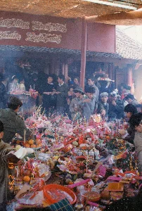 Trên ảnh có dấu ngày tháng màu cam '19 2 '94'. Bức ảnh ghi lại một khung cảnh làng quê nông thôn điển hình ở miền Bắc Việt Nam, có thể là tại tỉnh Hà Bắc cũ. Tiền cảnh là một ruộng lúa ngập nước, mặt nước phẳng lặng phản chiếu cảnh vật xung quanh. Ngăn cách ruộng lúa là một bờ đất cao có con đường mòn. Trên con đường, một người nông dân đang đi bộ, trên vai là một chiếc đòn gánh. Ở phía xa hơn cũng có một người khác đang di chuyển. Phía sau con đường là những thửa ruộng trồng hoa màu được chia thành nhiều luống. Xen kẽ là những hàng cây và xa hơn nữa là bóng dáng của một ngôi làng. Những đường dây điện chạy ngang qua bầu trời cho thấy đây là một vùng quê đã có điện vào năm 1994.。（日本語訳）。写真にはオレンジ色の「'94 2 19」という日付スタンプがある。この写真は、ベトナム北部の典型的な田舎の村の風景を記録しており、おそらく旧ハバク省で撮影されたものである。前景には水が張られた田んぼがあり、静かな水面が周囲の景色を映している。田んぼを隔てているのは、小道のある高い土手である。その道の上を、一人の農民が天秤棒を肩に担いで歩いている。さらに遠くにも、移動している別の人がいる。道の後ろには、多くの畝に分かれた作物が植えられた畑がある。空を横切る電線は、ここが1994年には電気が通っていた田舎であることを示している。