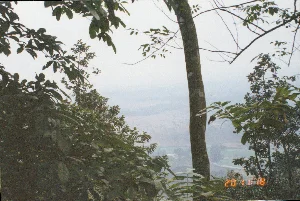 Góc dưới bên phải của hình ảnh có dấu thời gian kỹ thuật số màu cam ghi '20 11:18'.。Bức ảnh chụp phong cảnh một vùng nông thôn từ trên cao, có thể là từ một sườn đồi hoặc núi. Tiền cảnh là cây cối um tùm, với một thân cây lớn ở bên phải và các cành lá che khuất một phần tầm nhìn. Nhìn qua những tán lá, phía xa là một thung lũng rộng lớn với những thửa ruộng, có thể là cánh đồng lúa, trải dài. Toàn bộ khung cảnh phía xa chìm trong một lớp sương mù dày đặc, khiến cho cảnh vật trở nên mờ ảo. Bầu trời u ám, không thấy rõ mặt trời. Đây là một khung cảnh đặc trưng của vùng trung du miền núi phía Bắc Việt Nam.。（日本語訳）。画像の右下隅には、「20 11:18」と記されたオレンジ色のデジタルタイムスタンプがあります。この写真は、丘の中腹か山の上から撮影されたと思われる、ある田舎の風景を上から捉えたものです。前景には木々が生い茂り、右側には大きな木の幹があり、枝葉が視界の一部を覆っています。葉の間から見ると、遠くには広大な谷が広がり、そこには水田と思われる田畑が広がっています。遠くの風景全体が厚い霧の層に包まれ、景色を幻想的にしています。空は曇っており、太陽ははっきりと見えません。これはベトナム北部の山岳丘陵地帯の典型的な風景です。