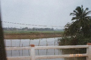 Trên ảnh có dấu ngày tháng màu cam "20 2 '94". Bức ảnh ghi lại một khung cảnh điển hình của vùng nông thôn Việt Nam, có vẻ như được chụp từ trên một cây cầu đang di chuyển. Ở tiền cảnh là lan can cầu màu trắng. Bên dưới là một con sông hoặc kênh, nơi người dân giăng lưới bằng các cọc tre để nuôi trồng thủy sản. Phía bên kia bờ là một cánh đồng lúa xanh mướt trải dài. Trên cánh đồng, có một vài người nông dân đang làm việc và một vài con trâu. Xa hơn là những ngôi nhà mái ngói của một làng quê ẩn hiện sau những lùm cây. Một cây dừa cao mọc ở phía bên phải. Bầu trời u ám và có các đường dây điện bắc ngang qua.。（日本語訳）。写真には「20 2 '94」というオレンジ色の日付スタンプがあります。この写真はベトナムの田舎の典型的な風景を記録したもので、移動中の橋の上から撮影されたようです。前景には、橋の白い欄干があります。その下には川か水路があり、人々は竹の杭を使って網を張り、水産養殖をしています。対岸には、青々とした水田が広がっています。田んぼでは、数人の農民が働いており、数頭の水牛がいます。遠くには、木々の茂みの後ろに見え隠れする、ある村の瓦屋根の家々があります。右側には高いヤシの木が一本生えています。空は曇っており、電線が横切っています。