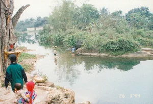 Bức ảnh chụp một khung cảnh làng quê ở Thanh Hóa vào ngày 26 tháng 3 năm 1994. Địa điểm là một bờ suối hoặc một khúc sông nhỏ, nước trong và lặng. Ở phía trước, một người lớn và một người đang địu một em bé trên lưng đi dọc theo bờ đất. Em bé mặc đồ sặc sỡ, đội mũ đỏ và có một quả bóng bay màu đỏ. Dưới lòng suối, hai đứa trẻ khác đang lội nước, có thể đang chơi đùa hoặc mò ốc. Bên trái, trên thân một cây cổ thụ lớn, có một bàn thờ nhỏ bằng gỗ với một bát hương cắm hương màu đỏ, đây là một hình thức tín ngưỡng dân gian. Gần đó có một cái rổ tre. Khung cảnh xung quanh rậm rạp cây cối nhiệt đới như tre, cọ, chuối và các loại cây bụi ven bờ. Ở góc dưới bên phải của ảnh có dấu ngày tháng "26 3 '94".。（日本語訳）。1994年3月26日にタインホア省のある田舎の風景を撮影した写真。場所は小川の岸、あるいは小さな川の一区画で、水は澄んでいて穏やかだ。手前では、大人一人と、背中に赤ん坊をおんぶした人が土手沿いを歩いている。赤ん坊はカラフルな服を着て、赤い帽子をかぶり、赤い風船を持っている。小川の中では、他の二人の子供が水に入っており、遊んでいるか、タニシを採っているのかもしれない。左側、大きな古木の幹には、赤い線香が立てられた香炉のある小さな木製の祭壇があり、これは民間信仰の一形態である。その近くには竹籠がある。周囲の風景は、竹、ヤシ、バナナ、そして岸辺の様々な低木といった熱帯の木々で鬱蒼としている。写真の右下隅には「'94 3 26」という日付の印がある。