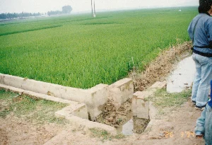 Bức ảnh chụp một khung cảnh nông thôn với một cánh đồng lúa xanh mướt trải dài. Đây là một khu vực nông nghiệp. Ở phía trước, có một công trình thủy lợi nhỏ bằng bê tông, có vẻ như là một cống hoặc kênh dẫn nước để tưới tiêu cho ruộng lúa. Bên cạnh đó là một con mương đất nhỏ. Một vài người đang đứng trên bờ đất quan sát cánh đồng. Một người mặc áo khoác màu xanh và quần jean đứng quay lưng về phía máy ảnh. Ở phía xa là một hàng cây và một cột điện. Trên ảnh có in dấu ngày tháng màu vàng "26 3 '94".。（日本語訳）。写真は、青々と広がる水田のある田園風景を写しています。ここは農業地帯です。手前には、コンクリート製の小さな水利施設があり、水田に水を引くための水門か用水路のようです。その隣には小さな土の水路があります。数人が土手の上に立って、田んぼを眺めています。青い上着とジーンズを履いた一人が、カメラに背を向けて立っています。遠くには、並木と電柱があります。写真には「94年3月26日」と黄色い日付が印字されています。