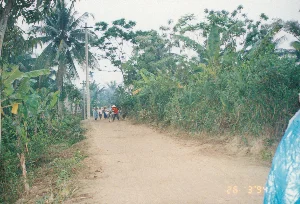 Trong ảnh có dấu ngày tháng "26 3 '94".。Đây là khung cảnh một con đường đất ở vùng nông thôn Việt Nam. Hai bên đường là cây cối nhiệt đới um tùm, có thể nhận ra các loại cây quen thuộc như cây dừa và cây chuối. Dọc theo con đường có dựng các cột điện. Ở phía xa, một nhóm người dân đang đi bộ trên đường. Một người trong số họ, mặc áo đỏ và đội nón lá, đang dắt một chiếc xe đạp. Đi cùng là một vài người khác, có người cũng đội nón lá. Ở góc dưới bên phải của bức ảnh, có một phần của một người đang mặc một chiếc áo mưa bằng ni lông màu xanh.。（日本語訳）。写真には「'94年3月26日」の日付スタンプがあります。これはベトナムの田舎にある未舗装の道の風景です。道の両側には熱帯の木々が鬱蒼と茂っており、ココナッツの木やバナナの木といったおなじみの木々が見分けられます。道に沿って電柱が立っています。遠くには、数人の人々が道を歩いています。そのうちの一人は、赤い服を着てノンラー（菅笠）をかぶり、自転車を押しています。他にも数人が一緒に歩いており、ノンラーをかぶっている人もいます。