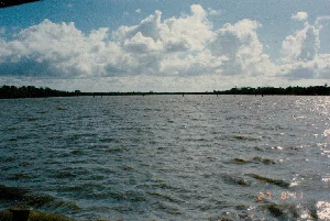 Bức ảnh chụp một khung cảnh sông nước rộng lớn, có thể là một con sông hoặc kênh lớn ở vùng Sóc Trăng. Mặt nước có màu nâu đục đặc trưng của phù sa và đang gợn sóng, cho thấy ảnh được chụp từ một chiếc ghe hoặc tàu đang di chuyển. Trên bầu trời xanh là những cụm mây trắng lớn. Phía xa là một dải cây xanh chạy dọc theo đường chân trời. Nổi bật trên mặt nước là một hàng cọc gỗ được cắm thẳng hàng, có khả năng đây là các cọc dùng để phân định ranh giới khu vực nuôi trồng thủy sản (như nuôi tôm, cá) hoặc là một phần của ngư cụ đánh bắt cá, vốn là những hoạt động phổ biến ở vùng Đồng bằng sông Cửu Long. Ở góc dưới bên phải của hình ảnh có các con số màu cam được in chồng lên, đọc là '27 8 '11'.。（日本語訳）。写真は、ソクチャン地方の大きな川または運河と思われる、広大な水辺の風景を捉えています。水面は、沖積土特有の濁った茶色をしており、波立っています。これは、写真が移動中の小舟または船から撮影されたことを示しています。青い空には、大きな白い雲の塊が浮かんでいます。遠くには、地平線に沿って緑の木々が帯状に連なっています。水面で際立っているのは、一直線に打ち込まれた木製の杭の列です。これらは、水産養殖区域（エビや魚の養殖など）の境界を定めるための杭であるか、あるいはメコンデルタ地域で一般的な活動である漁労に用いる漁具の一部である可能性があります。画像の右下隅には、オレンジ色の数字が重ねて印刷されており、「27 8 '11」と読めます。