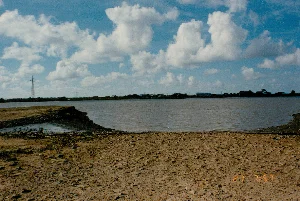 Bức ảnh chụp cận cảnh một người đàn ông đang cầm một con tôm sú lớn trên tay bên một bờ sông hoặc đầm nuôi tôm. Người đàn ông mặc áo sơ mi trắng và đội mũ lưỡi trai, dường như đang ở trên một chiếc ghe gỗ. Anh giơ con tôm lên, có lẽ để khoe kích thước và chất lượng của nó sau một vụ thu hoạch hoặc đánh bắt. Con tôm còn tươi, với các sọc và phần đuôi đặc trưng.。Bối cảnh là một vùng sông nước đặc trưng của Đồng bằng sông Cửu Long, có thể là ở Sóc Trăng. Mặt nước có màu phù sa. Trên ghe có một tấm bạt màu xanh và một cây sào gỗ. Ở phía trước, có một dụng cụ đánh bắt hình tròn có lưới. Ở hậu cảnh, có thể thấy đôi chân trần của những người khác, cho thấy có nhiều người trên ghe hoặc trên bờ. Hoạt động này có thể liên quan đến nghề nuôi trồng thủy sản, một ngành kinh tế phổ biến trong khu vực.。Trên ảnh có dấu thời gian kỹ thuật số màu cam ghi "27 16:40".。（日本語訳）。川岸かエビの養殖池のそばで、男性が大きなブラックタイガーエビを手に持っているクローズアップ写真です。男性は白いシャツを着て野球帽をかぶっており、木製の小舟に乗っているようです。彼は収穫または漁獲後、その大きさと品質を誇示するためか、エビを掲げています。エビはまだ新鮮で、特徴的な縞模様と尾の部分が見られます。背景はメコンデルタ特有の水郷地帯で、おそらくソクチャン省でしょう。水面は沖積土の色をしています。小舟の上には青い防水シートと木製の竿があります。前方には、網の付いた円形の漁具があります。後景には他の人々の裸足が見え、小舟の上か岸辺に複数の人がいることを示しています。この活動は、この地域で一般的な経済部門である水産養殖業に関連している可能性があります。写真にはオレンジ色のデジタルタイムスタンプで「27 16:40」と記されています。