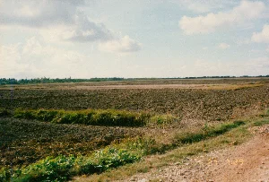 写真には文字情報はありません。彼らは集まってカメラの方を見ています。土手の隣には池があり、その中には網で囲まれたいけすがあって、ここがエビや魚などを養殖する水産養殖地域であることを示しています。彼らの後ろには青々とした木々が鬱蒼と茂っており、メコンデルタ地帯の典型的な特徴を示しています。遠くにいる一人の女性がノンラー（すげ笠）をかぶっています。この光景は、1994年頃の水産養殖場における人々の日常の一コマを表しています