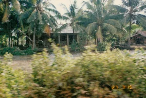 Trong ảnh có dấu thời gian kỹ thuật số "27 7:15" ở góc dưới bên phải. Bức ảnh mô tả một khung cảnh nông thôn yên bình ven một con kênh hoặc sông nhỏ, đặc trưng của vùng Đồng bằng sông Cửu Long, có thể là ở khu vực Sóc Trăng. Phía bên kia bờ kênh là một ngôi nhà có mái lợp tôn, phía trước có hiên. Xung quanh nhà được bao bọc bởi rất nhiều cây dừa và cây cối um tùm. Ở bên trái ngôi nhà, có một con trâu đang đứng. Về phía bên phải, có một ngôi nhà lá nhỏ, đơn sơ hơn. Mặt nước kênh có màu nâu đục của phù sa. Tiền cảnh bị mờ bởi các bụi cây, cho thấy bức ảnh có thể được chụp từ một phương tiện đang di chuyển, chẳng hạn như thuyền hoặc xe. Không có hoạt động nào rõ rệt của con người, chỉ là một cảnh sinh hoạt đời thường ở vùng quê.。（日本語訳）。写真の右下隅に「27 7:15」というデジタルタイムスタンプがあります。この写真は、メコンデルタ地域、おそらくソクチャン省に特有の、運河または小川のほとりにあるのどかな田園風景を描写しています。運河の対岸には、トタン屋根の家があり、その前には軒があります。家の周りは、たくさんのココナッツの木や生い茂った木々に囲まれています。家の左側には、一頭の水牛が立っています。右側には、より簡素な小さな茅葺きの家があります。運河の水面は、沖積土で濁った茶色をしています。前景は茂みでぼやけており、写真が船や車などの移動手段から撮影された可能性を示唆しています。人間の明確な活動はなく、ただ田舎の日常的な生活風景です。