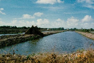 Bức ảnh chụp một khung cảnh nông thôn đặc trưng của vùng Đồng bằng sông Cửu Long, có khả năng là khu vực nuôi trồng thủy sản ở Sóc Trăng. Cảnh quan bao gồm nhiều con kênh hoặc ao nước dài, thẳng tắp, được ngăn cách bởi những bờ đất. Trên một bờ đất, có một túp lều canh nhỏ được dựng lên, có mái hình chóp lợp bằng lá hoặc rơm rạ, dùng để trông coi ao nuôi. Phía xa là những lùm cây xanh và một vài ngôi nhà thưa thớt. Bầu trời trong xanh, có nhiều mây trắng và những đường dây điện vắt ngang qua. Không có người trong ảnh, nhưng khung cảnh cho thấy hoạt động nuôi trồng thủy sản đang diễn ra.。（日本語訳）。この写真は、メコンデルタ地域の典型的な田園風景を撮影したもので、おそらくソクチャン省の水産養殖地域でしょう。風景には、土手で仕切られた、長くまっすぐな水路や池が数多く含まれています。ある土手の上には、小さな見張り小屋が建てられており、葉や藁で葺かれた円錐形の屋根を持ち、養殖池を見張るために使われています。遠くには緑の木々や、まばらな家が数軒見えます。空は青く澄み渡り、白い雲が多く浮かび、電線が横切っています。写真には人はいませんが、この風景は水産養殖活動が行われていることを示しています。