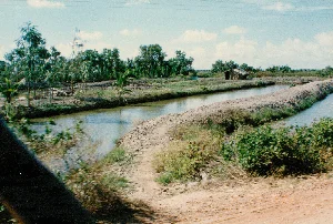 Bức ảnh ghi lại một khung cảnh nông thôn đặc trưng của vùng Đồng bằng sông Cửu Long, có thể là một khu vực nuôi trồng thủy sản ở Sóc Trăng. Trong ảnh là các ao nước hoặc con mương dài, được ngăn cách bởi những bờ đất. Dọc theo các bờ đất, có thể thấy những hàng cây non mới được trồng, trông giống như cây dừa, và xa hơn là những lùm cây rậm rạp. Ở phía xa có một túp lều nhỏ, đơn sơ lợp bằng lá, có thể là nơi nghỉ chân hoặc chứa dụng cụ của người nông dân. Phía trên là bầu trời xanh với vài gợn mây trắng và có những đường dây điện chạy ngang qua. Tiền cảnh là một phần của con đường đất. Mặc dù không có người xuất hiện, toàn bộ khung cảnh cho thấy đây là một khu vực canh tác nông nghiệp, cụ thể là nuôi cá hoặc tôm. Ở góc dưới bên phải của bức ảnh có một dấu ngày tháng màu cam, mờ nhạt, dường như là '27 4 '94'.。（日本語訳）。この写真は、メコンデルタ地方の典型的な田園風景を捉えており、おそらくソクチャン省の水産養殖地域であろう。写真には、土手で隔てられた長い池や水路が写っている。遠くには、葉で葺かれた小さく簡素な小屋があり、農家の休憩所か道具置き場であろう。上方には、白い雲がいくつか浮かぶ青空が広がり、電線が横切っている。手前には、未舗装の道の一部が写っている。人は写っていないが、全体の風景から、ここが農業、具体的には魚やエビの養殖が行われている地域であることがわかる。写真の右下隅には、オレンジ色のかすかな日付印があり、「'27 4 '94」と読めるようである。