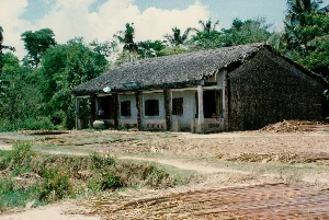 背景は1994年、ソクチャン省と思われる農村地域です。家はセメントで建てられた壁で、正面の軒はコンクリートの柱で支えられています。屋根はニッパヤシの葉で葺かれており、時間とともに色あせ、古びた様子が見られます。家の一方の側面は、完全に乾燥した葉の壁で建てられています。写真に記録されている主な活動は、ニッパヤシの葉を干すことです。たくさんの葉が家の前や周りの土の庭一面に広げられており、これはこの家族が、例えば家を葺くための葉を編むなど、ヤシの葉に関連する手工業を営んでいる可能性を示しています。これは農村地域、特に南西部で一般的な仕事です。注目すべき物には、家、葉葺きの屋根、干されているニッパヤシの葉、そして軒先に置かれた水を貯めるための大きな陶器の甕が含まれます。軒先には一人が座っており、もう一人、子供と思われる人物が窓から外を見ています。家の後ろには、多くのヤシの木やその他の緑の木々が生い茂る庭があります。軒の屋根の上には青い看板がありますが、その上の文字は薄れており、内容を読むことはできません。その光景は、当時のベトナムの田舎の村における素朴な生活と労働を反映しています