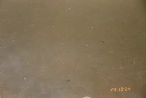 Hình ảnh hiển thị một dấu thời gian kỹ thuật số '29 10:24' ở góc dưới bên phải. Toàn bộ khung hình là một bức ảnh chụp cận cảnh bề mặt nước. Nước có màu nâu đục, cho thấy đây có thể là nước sông, kênh rạch hoặc ao hồ ở khu vực Sóc Trăng. Có một vài vật thể nhỏ, không thể xác định, trôi nổi trên mặt nước. Không có người, thuyền bè hay hoạt động cụ thể nào được thể hiện trong ảnh.。（日本語訳）。画像は右下隅に「29 10:24」というデジタルタイムスタンプを表示しています。フレーム全体は水面のクローズアップ写真です。水は濁った茶色をしており、これがソクチャン地域の川、運河、または池の水である可能性を示唆しています。水面には、いくつかの正体不明の小さな物体が浮かんでいます。写真には、人物、船、または特定の活動は写っていません。