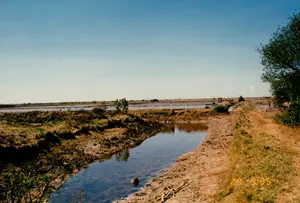 Bức ảnh chụp một cảnh quan nông thôn rộng lớn, có khả năng là một cánh đồng muối hoặc khu vực nuôi trồng thủy sản (nuôi tôm) ở Sóc Trăng. Toàn cảnh là những ô ruộng hình chữ nhật chứa đầy nước, trải dài đến tận chân trời, được phân chia bởi các bờ đất. Ở phía trước là một con mương nhỏ, nước khá trong, hai bên bờ là đất bùn. Bên phải có một con đường mòn bằng đất và một số cây xanh, bụi rậm. Bầu trời trong xanh và quang đãng. Ở phía xa, có thể nhận ra bóng một người dường như đang làm việc và một vài công trình nhỏ, có thể là chòi canh hoặc các đống muối đã thu hoạch. Ở góc dưới cùng bên phải, có một dòng chữ màu vàng là dấu ngày tháng, có thể đọc là '29 9 '95'.。（日本語訳）。この写真は、広大な田園風景を写したもので、ソクチャン省の塩田または水産養殖（エビ養殖）地域である可能性があります。全景は、水で満たされた長方形の田んぼが地平線まで広がり、土手で区切られています。手前には小さな水路があり、水はかなり澄んでいて、両岸は泥土です。右側には土の小道と、いくつかの緑の木々や茂みがあります。空は青く澄み渡っています。右下隅には、日付印である黄色い文字があり、「29 9 '95」と読むことができます。