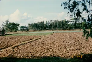 Bức ảnh ghi lại một khung cảnh nông thôn yên bình tại Sóc Trăng vào buổi sáng.。**Chữ viết:** Ở góc dưới bên phải của hình ảnh có một dấu thời gian kỹ thuật số màu vàng hiển thị "2   7:48".。**Cảnh vật và hoạt động:**。*   **Địa điểm:** Đây là một khu vực nông nghiệp, bao gồm nhiều cánh đồng (nông địa).。*   **Hoạt động:** Cảnh vật cho thấy các hoạt động nông nghiệp. Thửa ruộng lớn ở tiền cảnh đã được cày xới, đất tơi xốp, cho thấy sự chuẩn bị cho việc gieo trồng vụ mùa mới. Ở phía xa, có một người đang đi trên bờ ruộng và một con vật (có thể là trâu hoặc bò) đang di chuyển trên đồng, đây là hình ảnh đặc trưng của việc làm nông ở Việt Nam thời kỳ này.。*   **Vật thể:**。*   **Ruộng đất:** Một thửa ruộng lớn đã cày ở phía trước, và các thửa ruộng nhỏ hơn có màu xanh của cây mạ non hoặc rau màu ở phía sau. Các bờ đất nhỏ được dùng để phân chia các thửa ruộng.。*   **Công trình:** Ở phía bên trái, có một ngôi nhà nông thôn đơn sơ với mái lá và một đống rơm lớn bên cạnh. Phía xa là một vài ngôi nhà khác nằm ẩn mình trong các lùm cây.。*   **Thiên nhiên:** Phía sau cánh đồng là một hàng cây cao và thẳng. Bầu trời trong xanh với vài gợn mây trắng. Cành lá của một cái cây ở gần ống kính che một phần góc trên bên phải.。（日本語訳）。この写真は、ソクチャンのある朝の平和な田園風景を捉えたものです。**文字：** 画像の右下隅に、「2   7:48」と表示された黄色のデジタルタイムスタンプがあります。**風景と活動：**。*   **場所：** これは多くの田畑（農地）を含む農業地帯です。*   **活動：** 風景は農業活動を示しています。前景の大きな畑は耕され、土はふかふかで、新しい作付けの準備をしていることがうかがえます。遠くには、畦道を歩いている人が一人と、一頭の動物（水牛か牛の可能性があります）が田んぼの中を移動しており、これはこの時期のベトナムにおける農作業の典型的な光景です。*   **物体：**。*   **田畑：** 手前には耕された大きな畑が一つあり、後方には若い稲や野菜で緑色をしたより小さな畑がいくつかあります。小さな土手が畑を区切るために使われています。*   **建造物：** 左側には、葉葺き屋根の簡素な農家が一件あり、その隣には大きな藁の山があります。遠くには、木立の中に隠れるようにして他の家が数軒見えます。*   **自然：** 田畑の後ろには、高くてまっすぐな木々が並んでいます。空は青く澄み渡り、白い雲がいくつか浮かんでいます。レンズの近くにある木の枝葉が、右上隅の一部を覆っています。