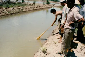 背景は農村部の水産養殖地域で、おそらくソクチャン省でしょう。多くの男性からなるグループが、用水路か養殖池の岸に集まっています。岸は土で盛られています。上半身裸の男性がかがみ込み、櫂（かい）のような長い木製の道具を使って水をかき混ぜています。他の人々は周りに立って見守っており、一人は白いTシャツを着て野球帽をかぶり、もう一人は薄ピンク色の半袖シャツを着ています。彼らの後ろには、ノンラー（菅笠）をかぶっている人がいるかもしれません。ほとんどの人は裸足か、サンダルを履いています。この光景は、農業、具体的には水産養殖に関連する活動であることを示しており、池の点検、エアレーション、またはエビや魚への餌やりをしている可能性があります。背景には、他の養殖池や数本のヤシの木が見えます。写真には、「2 12:」と表示されたオレンジ色のデジタルタイムスタンプがあります