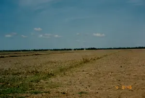 Góc dưới bên phải của hình ảnh có dấu thời gian kỹ thuật số màu vàng '4 8:46'. Bức ảnh chụp một cánh đồng rộng lớn, bằng phẳng, có vẻ là một thửa ruộng sau khi thu hoạch và đang trong mùa khô. Mặt đất khô cằn, đã được cày xới, để lại những luống đất và một ít cỏ dại cùng gốc rạ còn sót lại. Ở phía xa, dọc theo đường chân trời là một hàng cây xanh và một vài ngôi nhà thấp thoáng. Bầu trời trong xanh với vài gợn mây trắng. Không có người hay hoạt động nào đang diễn ra, khung cảnh thể hiện một vùng nông thôn yên bình, có thể là ở khu vực Sóc Trăng, đang chờ đợi mùa mưa để bắt đầu một vụ mùa mới.。（日本語訳）。画像の右下隅には、「4 8:46」という黄色のデジタルタイムスタンプがあります。写真は、収穫後で乾季にあると思われる、広大で平坦な畑を写しています。地面は乾燥しており、耕されて、土の畝と、わずかな雑草や残った稲株が残されています。空は青く澄み渡り、白い雲がいくつか浮かんでいます。人や活動の様子はなく、その光景は、おそらくソクチャン地域の、新しい作付けを始めるために雨季を待っている、平和な田園地帯を表しています。