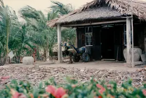 1994年頃、ソクチャン省と思われる農村地帯の家を撮影した写真です。これは木造の平屋で、メコンデルタ地方特有の住宅建築様式であるニッパヤシの葉で葺いた屋根を持っています。家にはコンクリートの柱で支えられた広い軒先があります。軒先の前には青い手押し耕運機（耕うん機）が一台停まっており、ここが農家の家である可能性を示しています。家の前庭は土の庭で、そこには手押し式の井戸ポンプと、雨水を貯めるための大きな陶器の甕が一つあります。もう一つの甕も軒下に置かれています。家の周りは鬱蒼とした庭で、たくさんのヤシの木があり、ヤシの葉が風にそよいでいます。前景の地面は、木くずか植物の残骸と思われる、乾燥した植物の破片で覆われています。写真の右下隅には「4 14:39」という数字があり、おそらく撮影日時だと思われます