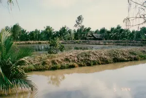 写真には「5 7:44」というデジタルのタイムスタンプがあります。背景は穏やかな農村地帯で、おそらくソクチャン省にあり、メコンデルタ地方に特有のものです。風景には、土手で隔てられた水産養殖池（エビまたは魚の養殖池である可能性があります）または運河が含まれています。池の土手の周りには、たくさんのココナッツの木が植えられています。遠くには、木々の中に隠れるように伝統的な茅葺き屋根の家があります。写真の左手前には、ニッパヤシの葉があります。人間の活動は記録されていませんが、その光景はここが農業または水産養殖のための地域であることを示しています