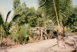 Bức ảnh ghi lại một khung cảnh nông thôn điển hình ở vùng sông nước Sóc Trăng. Ở phía trước là một con đường đất ven một con rạch hoặc sông nhỏ. Bên phải có một cây dừa cao, và bên trái là những bụi cây dừa nước mọc um tùm. Ở giữa, bên bờ rạch, có một công trình bằng gỗ được dựng lên một cách thô sơ, có thể là một cái cầu nhỏ, một cái cống để điều tiết nước cho ao nuôi tôm, cá, hoặc một phần của một cái đó bắt cá. Phía sau là mặt nước và những lùm cây rậm rạp. Không có người hay hoạt động cụ thể nào được ghi lại, nhưng cảnh vật gợi lên cuộc sống gắn liền với nông nghiệp và nuôi trồng thủy sản ven sông.。（日本語訳）。写真は、ソクチャン省の水郷地帯における典型的な田舎の風景を捉えている。手前には、小川または小さな川に沿った未舗装の道がある。中央の小川の岸には、粗末に建てられた木造の構造物がある。それは小さな橋、エビや魚の養殖池の水を調節するための水門、あるいは魚を捕るための仕掛けの一部かもしれない。後方には水面と鬱蒼とした木々の茂みがある。特定の人物や活動は記録されていないが、その風景は川沿いの農業や水産養殖と結びついた生活を想起させる。