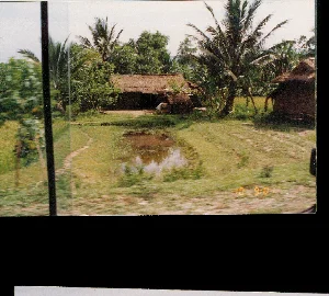 Đây là một khung cảnh nông thôn ở Việt Nam, có thể được chụp từ một phương tiện đang di chuyển. Ở trung tâm bức ảnh là những ngôi nhà tranh, mái lá đơn sơ, xung quanh là cây cối xanh tươi, bao gồm cả những cây dừa. Phía trước có một cái ao nhỏ hoặc một thửa ruộng nước. Có một người đang ngồi gần một trong những ngôi nhà. Khung cảnh tổng thể cho thấy một cuộc sống nông nghiệp bình dị ở vùng quê. Ở phần dưới của bức ảnh có một dấu thời gian kỹ thuật số màu vàng hiển thị '10 9:01'.。（日本語訳）。これはベトナムの田舎の風景で、移動中の乗り物から撮影された可能性があります。写真の中央には、簡素な藁葺き屋根の家々があり、その周りはココナッツの木を含む緑豊かな木々に囲まれています。手前には小さな池か水田があります。家の一つの近くに座っている人が一人います。全体的な風景は、田舎での素朴な農業生活を示しています。写真の下部には、「10 9:01」と表示された黄色のデジタルタイムスタンプがあります。
