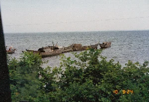 Bức ảnh chụp một khung cảnh trên một vùng nước rộng lớn, có thể là một đầm phá hoặc một con sông lớn, vào buổi sáng. Nhiều chiếc ghe, thuyền gỗ đang neo đậu gần nhau trên mặt nước. Những chiếc thuyền này có kiểu dáng truyền thống, một số có mui che hình vòm làm bằng vật liệu đan lát, có thể dùng làm nơi ở hoặc để che mưa nắng trong quá trình đánh bắt cá. Ở phía bên trái, một người đội nón lá đang ở trên một chiếc thuyền nhỏ, dường như đang làm việc. Phía trước là những lùm cây xanh tốt. Bầu trời có vẻ u ám và mặt nước khá phẳng lặng. Ở góc dưới cùng bên phải, có một dấu thời gian kỹ thuật số màu cam hiển thị '10 9:24'.。（日本語訳）。写真は、朝の広大な水域、おそらくラグーンか大きな川の光景を撮影したものです。多くの木製の小舟やボートが、水面で互いに近くに停泊しています。これらの船は伝統的なデザインで、中には編み込み素材で作られたアーチ型の屋根を持つものもあり、住居として、あるいは漁の際に雨や日差しを避けるために使われることがあります。左側には、ノンラーをかぶった人が小さな船に乗っており、何か作業をしているようです。前方には、青々とした木々の茂みがあります。空は曇っているようで、水面はかなり穏やかです。右下隅には、「10 9:24」と表示されたオレンジ色のデジタルタイムスタンプがあります。