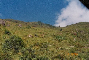 Trong ảnh có dấu ngày tháng màu cam '5 10 '96'. Bức ảnh chụp một sườn đồi hoặc sườn núi được bao phủ bởi thảm cỏ xanh tươi. Rải rác trên sườn đồi là những tảng đá lớn và một vài cây cối, bụi rậm mọc thưa thớt. Bầu trời trong xanh với một vài đám mây trắng. Không có người hay hoạt động nào diễn ra. Cảnh quan trông hoang sơ và tự nhiên, có thể là một đoạn trên đèo Hải Vân. Ở góc dưới bên phải có một đường dây trông giống dây điện hoặc dây cáp vắt ngang qua.。（日本語訳）。写真にはオレンジ色の「5 10 '96」という日付スタンプがあります。写真は、青々とした草の絨毯に覆われた丘の斜面または山の斜面を写しています。丘の斜面には、大きな岩が点在し、いくつかの木や低木がまばらに生えています。空は青く澄んでおり、白い雲がいくつか浮かんでいます。人や何らかの活動は見られません。景観は手付かずの自然のようで、ハイヴァン峠の一区間かもしれません。