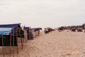 Bối cảnh là một bãi biển rộng với bãi cát trải dài. Dọc theo bờ biển là một dãy lều tạm được dựng lên một cách đơn sơ bằng các cọc tre và được che phủ bằng các tấm bạt nhựa nhiều màu sắc (xanh dương, xanh nhạt) và vải. Những chiếc lều này có vẻ được dùng làm nơi cho du khách thuê để nghỉ ngơi và tránh nắng. Có một vài người trên bãi biển. Hai người phụ nữ đang đi bộ cùng nhau, một trong số họ đội nón lá truyền thống của Việt Nam. Ở phía xa hơn, có thể thấy một đứa trẻ và những người khác đang thư giãn dưới các mái che. Phía sau dãy lều là một vài công trình kiên cố hơn với mái lá và một hàng cây xanh, có thể là cây phi lao thường thấy ở các vùng ven biển. Không có biển hiệu hay chữ viết nào có thể đọc được ngoài dấu thời gian kỹ thuật số '11 8:42' được in ở góc dưới bên phải của bức ảnh.。（日本語訳）。背景は、広々とした砂浜が広がるビーチです。海岸線に沿って、竹の杭で簡素に建てられ、色とりどり（青、水色）のビニールシートと布で覆われた一列の仮設テントがあります。これらのテントは、観光客が休憩したり日差しを避けたりするために借りる場所として使われているようです。ビーチには数人の人々がいます。二人の女性が一緒に歩いており、そのうちの一人はベトナムの伝統的なノンラーをかぶっています。さらに遠くには、子供一人と他の人々が日よけの下でくつろいでいるのが見えます。テントの列の後ろには、茅葺き屋根のより頑丈な建物がいくつかあり、沿岸地域でよく見られるモクマオウと思われる緑の木々が並んでいます。写真の右下隅に印刷された「11 8:42」というデジタルタイムスタンプを除いて、読み取れる看板や文字はありません。