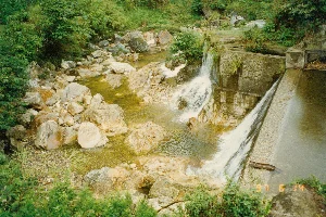 Trên ảnh có dấu ngày tháng '97 6 14'. Bức ảnh ghi lại cảnh một con suối ở vùng núi. Dưới lòng suối có rất nhiều tảng đá với kích thước khác nhau. Một công trình nhân tạo bằng bê tông, có thể là một đập tràn nhỏ hoặc mương thủy lợi, được xây cắt ngang dòng suối. Nước chảy tràn qua mép đập, tạo thành những dòng thác nhỏ tung bọt trắng xóa. Hai bên bờ suối được bao phủ bởi cây cối và thảm thực vật xanh tươi, rậm rạp. Khung cảnh hoàn toàn tự nhiên, không có sự hiện diện của con người hay hoạt động nào khác ngoài dòng nước đang chảy.。（日本語訳）。写真には「'97 6 14」という日付スタンプがあります。この写真は山間部の小川の風景を記録したものです。川底には、さまざまな大きさの岩がたくさんあります。小さな堰（せき）か用水路と思われるコンクリート製の人工構造物が、川の流れを横切って建設されています。水は堰の縁から溢れ出て、白い水しぶきを上げる小さな滝を作っています。小川の両岸は、青々とした木々や草木で鬱蒼と覆われています。流れる水のほかには人間やその他の活動の存在はなく、完全に自然な風景です。