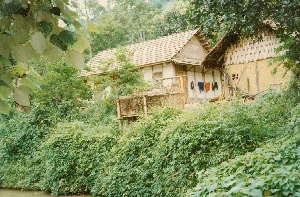 背景は、ラオカイまたはサパ地域にある可能性のある山岳地帯の農村で、青々とした木々が鬱蒼と茂っています。川岸または小川のそばの丘の中腹に2軒の家が建てられています。左側の家は、瓦葺きの屋根と漆喰の壁、木製のドアがあり、より頑丈に見えます。隣には伝統的な土壁の家があり、壁の下部は土で、上部は編んだ竹のパネルでできており、屋根は葉で葺かれています。家の前には数着の服が干してあり、人々の日常生活がうかがえます。家の周りには柵と、竹でできた小さな床があり、それは家禽小屋か物置かもしれません。地域全体が、大きな木から茂み、つる植物に至るまで、密集した植生で覆われています