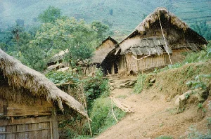 Bức ảnh ghi lại quang cảnh một ngôi làng nhỏ của người dân tộc thiểu số ở vùng núi, có thể là ở khu vực Sa Pa, tỉnh Lào Cai. Những ngôi nhà được xây dựng cheo leo trên sườn đồi dốc. Các ngôi nhà có kiến trúc đơn sơ, truyền thống với vách làm bằng tre, nứa hoặc gỗ, và mái được lợp bằng lá tranh hoặc rơm rạ đã cũ. Một số mái nhà có vẻ được lợp xen kẽ bằng những tấm ván gỗ. Một con đường mòn bằng đất với vài bậc thang đá gồ ghề chạy giữa các ngôi nhà. Xung quanh là cây cối xanh tươi và phía xa là những ngọn đồi trập trùng, có thể thấy dấu vết của ruộng bậc thang. Không có người hay hoạt động nào rõ rệt, chỉ có khung cảnh tĩnh lặng của một bản làng miền núi.。（日本語訳）。写真は、山岳地帯にある少数民族の小さな村の光景を捉えており、おそらくラオカイ省サパ地方のものでしょう。家々は急な丘の斜面に険しく建てられています。家々は素朴で伝統的な建築様式で、壁は竹やニッパヤシ、または木でできており、屋根は古い茅や藁で葺かれています。いくつかの屋根は木の板で交互に葺かれているように見えます。いくつかのごつごつした石の階段がある土の小道が、家々の間を走っています。周囲は青々とした木々で、遠くには起伏のある丘が連なり、棚田の跡が見て取れます。はっきりとした人や活動は見られず、ただ山岳地帯の村の静かな光景があるだけです。