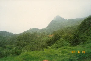 Trên ảnh có dấu ngày tháng màu vàng: '97 6 15'.。Bức ảnh chụp phong cảnh một vùng núi, có thể là trên cung đường từ Lào Cai đến Sa Pa. Khung cảnh bao gồm những ngọn đồi và dãy núi trập trùng được bao phủ bởi thảm thực vật xanh tươi. Ở phía xa, một đỉnh núi cao nhô lên, bị che khuất một phần bởi sương mù hoặc mây. Bầu trời có màu trắng đục, u ám. Phần tiền cảnh của bức ảnh bị mờ do chuyển động, cho thấy nó được chụp từ một phương tiện đang di chuyển. Trên sườn đồi có thể thấy một vài khoảng đất trống màu nâu, có thể là khu vực canh tác hoặc sạt lở.。（日本語訳）。写真には黄色い日付スタンプ「'97 6 15」があります。写真は山岳地帯の風景を撮影したもので、おそらくラオカイからサパへの道中のものです。風景には、青々とした植生に覆われた起伏のある丘や山脈が含まれています。遠くには、霧や雲に部分的に隠された高い山頂がそびえ立っています。空は乳白色で、曇っています。写真の前景部分は動きによってぼやけており、移動中の乗り物から撮影されたことを示しています。丘の斜面には、茶色の裸地がいくつか見られ、それは耕作地または地滑りの跡かもしれません。