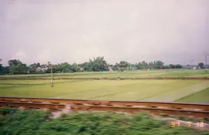 Trên ảnh có dấu ngày tháng màu cam '97 7 13'. Bức ảnh được chụp từ một phương tiện đang di chuyển, có thể là tàu hỏa, nhìn ra khung cảnh nông thôn Việt Nam. Phía trước là đường ray xe lửa và các bụi cây ven đường bị nhòe do chuyển động. Trải dài trước mắt là một cánh đồng lúa xanh mướt, được chia thành nhiều thửa ruộng bởi những bờ đất nhỏ. Ở giữa cánh đồng có một cột điện. Phía xa là một ngôi làng với những mái nhà ẩn hiện sau những rặng cây xanh và các bụi tre. Bầu trời u ám và nhiều mây.。（日本語訳）。写真にはオレンジ色の「'97 7 13」という日付スタンプがあります。写真は、移動中の乗り物、おそらくは列車から、ベトナムの田園風景を眺めて撮影されたものです。手前には線路と、動きによってぼやけた道端の茂みがあります。目の前には青々とした水田が広がり、小さな土手によって多くの区画に分けられています。田んぼの真ん中には電柱が一本あります。遠くには村があり、その家々の屋根が緑の並木や竹藪の向こうに見え隠れしています。空はどんよりとしており、雲が多いです。