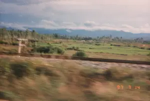 この写真はベトナムの田園風景を記録したもので、右下の「\'97 7 14」という日付表示が示すように、1997年7月14日に、おそらく電車のような移動中の乗り物から撮影されたものです。- **場所の種類:** これは農村地域です。風景には、フレームを横切る線路が含まれています。線路の後ろには、おそらく水田と思われる緑豊かな農地が広がり、茂みが点在しています。遠くには森と、雲に隠れた起伏のある山脈があります。- **活動:** 人間の特定の活動は明確に記録されていません。この写真は、走行中の乗り物から田園地帯を垣間見た視点を示しています。- **物体:** 写真の主な物体には、線路（鉄道）、田畑、木々、そして背景の山脈が含まれます。遠くの木々の近くに、見張り小屋か小さな家と思われる小さな建造物があります。前景は撮影者の移動速度により完全にぼやけています